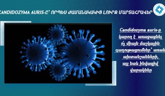 Տեղեկատվություն