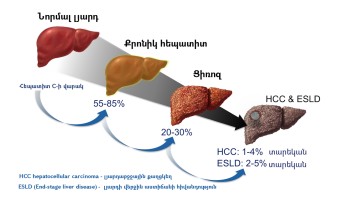 Օգտակար նյութեր