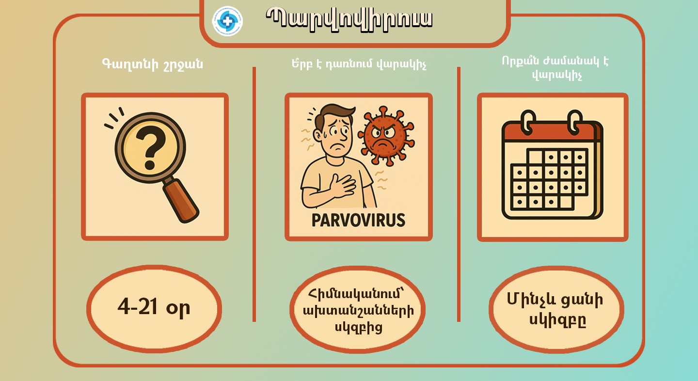 Parvovirus infection: spread and treatment